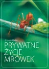 Prywatne życie mrówek - zdjęcie