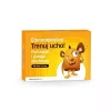 Eduterapeutica lux Trenuj ucho. Percepcja i uwaga słuchowa - zdjęcie