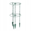 Podpora do Roślin Floo Supports ŚR. 25 i 35CM Zielony Leśny - zdjęcie