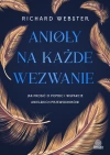 Anioły na każde wezwanie. Jak prosić o pomoc i wsparcie anielskich przewodników - zdjęcie