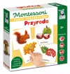 Karty sensoryczne Montessori. Przyroda - zdjęcie