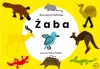 Żaba - zdjęcie
