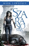 Szara siostra. Trylogia Księga Przodka. Tom 2 - zdjęcie