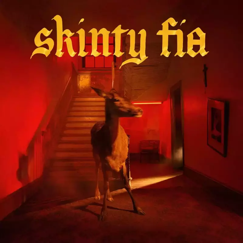Skinty Fia, CD Skinty Fia, CD
