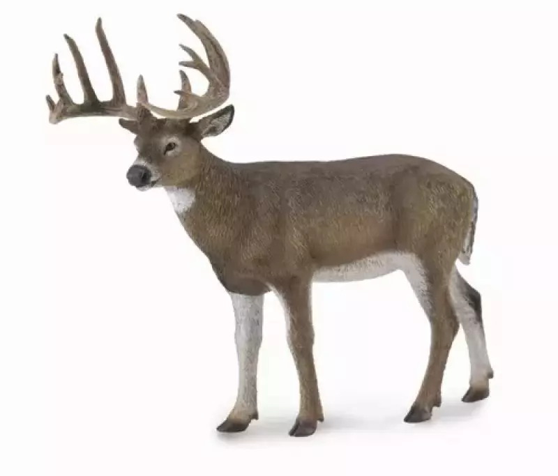 Jeleń