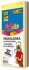 Przekładka do segregatora 1/3 A4 120K 12 kolorów - zdjęcie