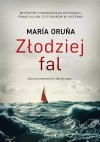 Złodziej fal - zdjęcie