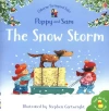 The Snow Storm - zdjęcie