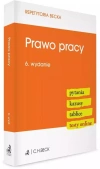 Prawo pracy. Pytania. Kazusy. Tablice. Testy w.6 - zdjęcie