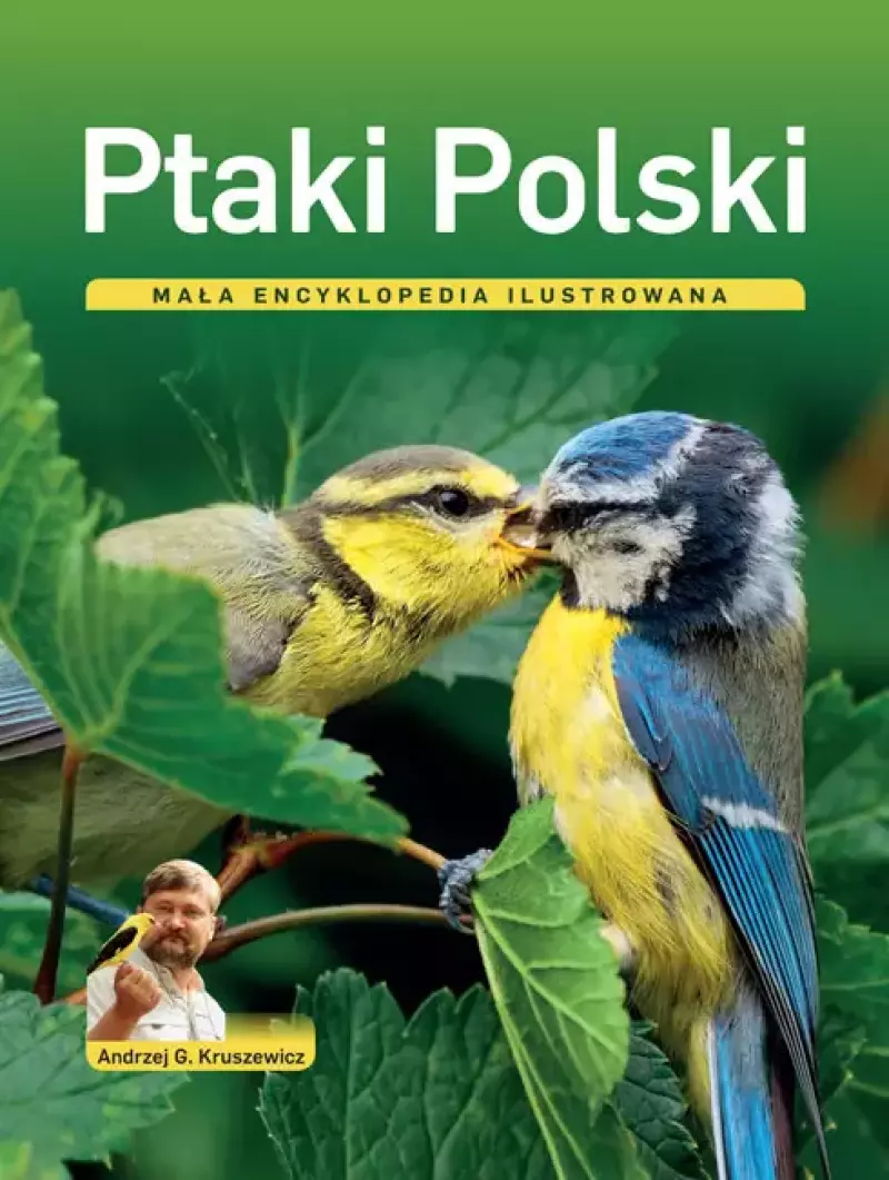 Ptaki Polski. Mała encyklopedia ilustrowana Ptaki Polski. Mała encyklopedia ilustrowana