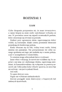 Forever My Girl, zdjęcie 2