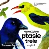 Ptasie Trele cz.2 - zdjęcie