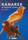 Kanarek w naszym domu - zdjęcie
