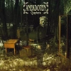 Chapters, CD - zdjęcie