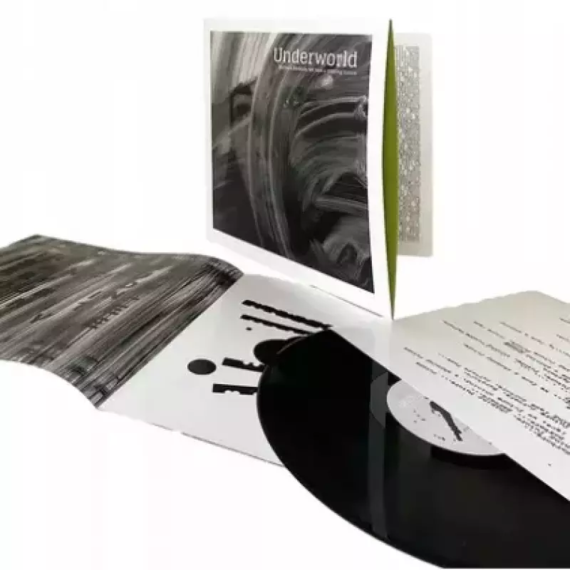 Barbara Barbara We Face A Shining Future LP, Winyl