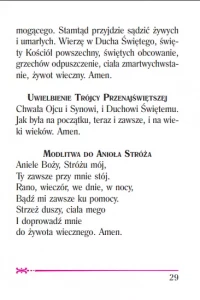 Przyjdź, Panie Jezu (kolor biały), zdjęcie 15
