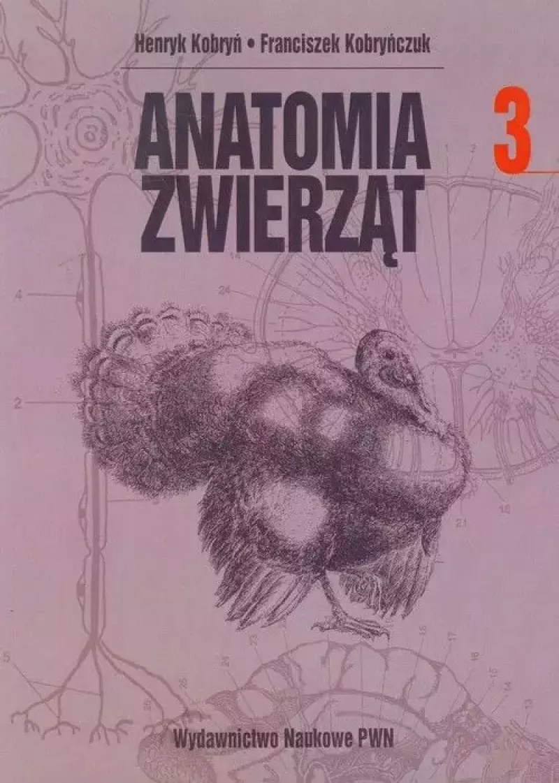 Anatomia zwierząt. Tom 3 Anatomia zwierząt. Tom 3