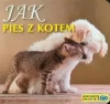 Poznajemy zwierzęta Jak pies z kotem - zdjęcie