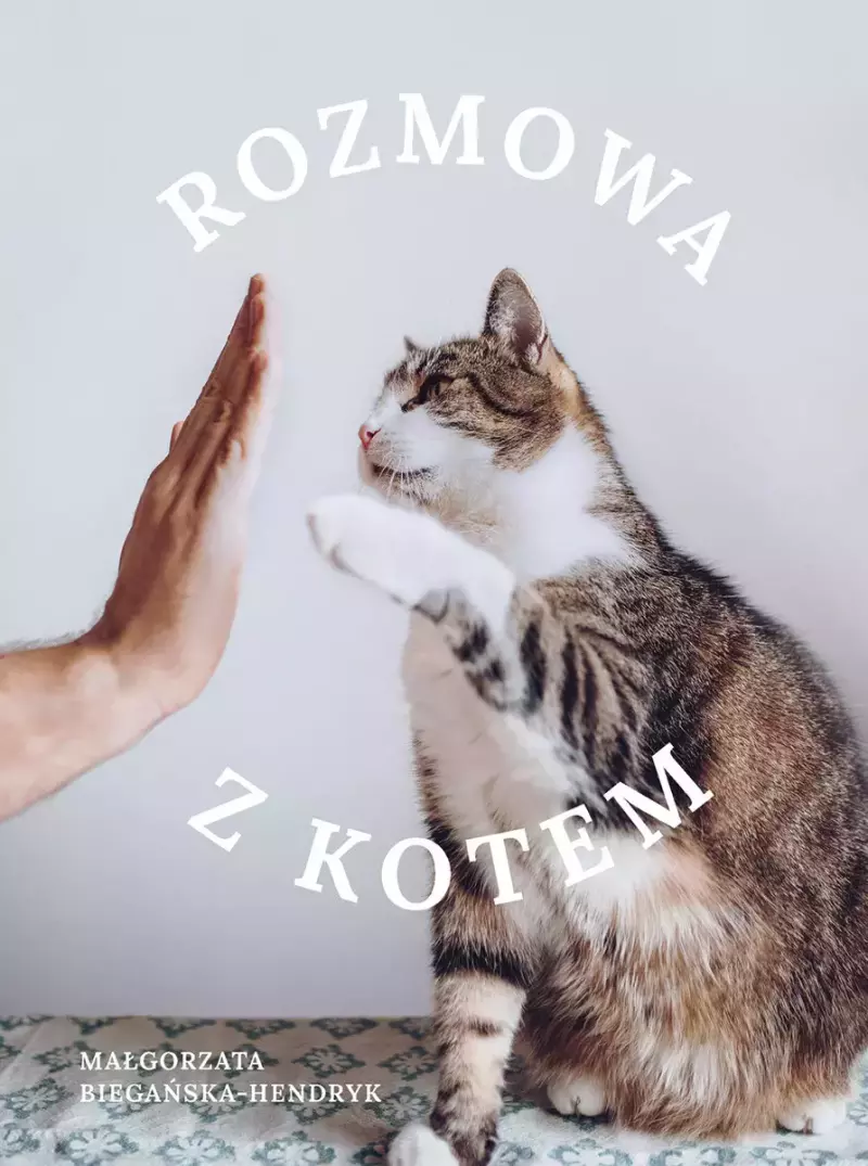 Rozmowa z kotem Rozmowa z kotem