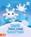 Dwie takie same śnieżynki - zdjęcie