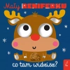 Mały reniferku, co tam widzisz? - zdjęcie