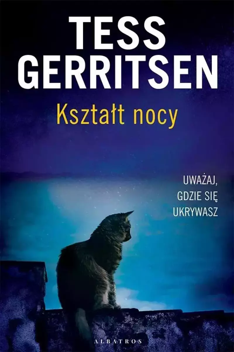 Kształt nocy Kształt nocy