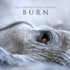 Burn, CD - zdjęcie