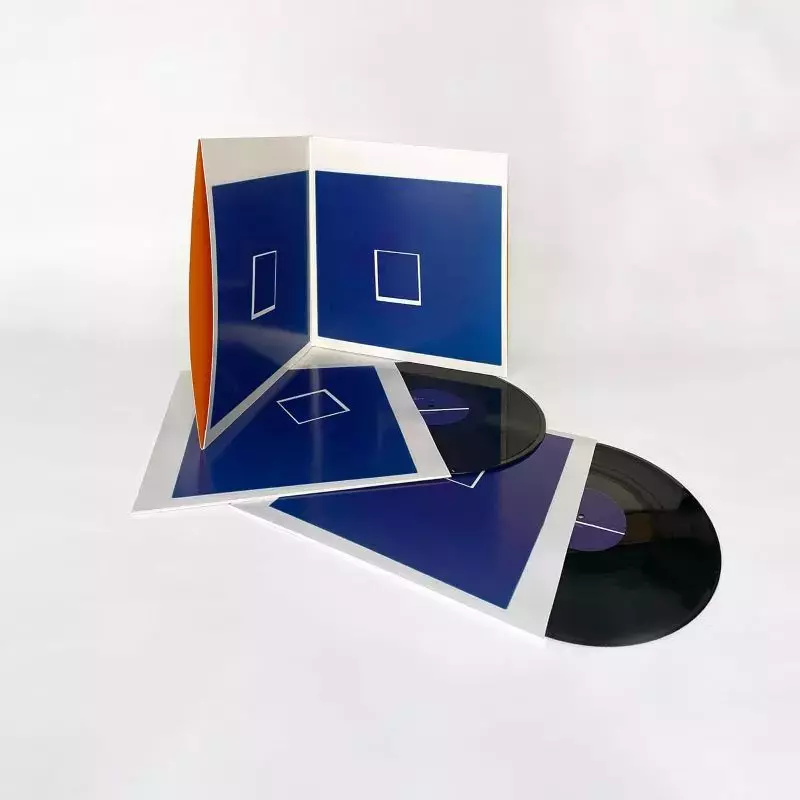 Beaucoup Fish LP, Winyl Beaucoup Fish LP, Winyl