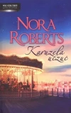 Karuzela uczuć - Nora Roberts - zdjęcie