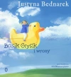 Basik Grysik i wrony - zdjęcie