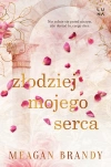 Złodziej mojego serca - zdjęcie