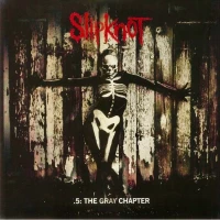 .5: The Gray Chapter (PINK 2xLP), Winyl, zdjęcie 3
