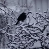 Nightwalker, CD - zdjęcie