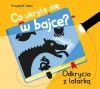 Co ukryło się w bajce? Odkrycia z latarką - zdjęcie