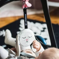 Whisbear. Szumiący Króliś, zdjęcie 4