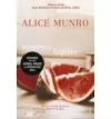 Moons of Jupiter, The. Munro, Alice. PB - zdjęcie