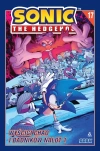 Sonic The Hedgehog. Tom 17. Wyścigi Chao i Badników nalot, część 1 - zdjęcie
