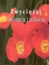 Perełka 193. Zwyciężaj dobrocią i miłością - zdjęcie