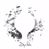 Sigur Ros:, Winyl - zdjęcie