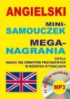 Angielski Mini-samouczek Mega-nagrania Naucz się zwrotów przydatnych w różnych sytuacjach - zdjęcie