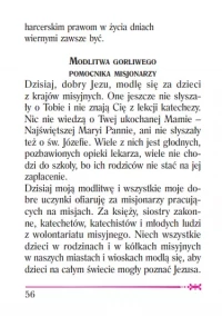 Przyjdź, Panie Jezu (kolor biały), zdjęcie 29