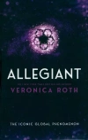 Allegiant - zdjęcie