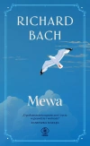 Mewa - zdjęcie