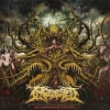 Surpassing The Boundaries Of Human Suffering. CD - zdjęcie