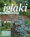 Iglaki w ogrodzie - zdjęcie