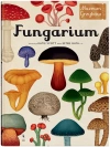 Fungarium. Muzeum Grzybów - zdjęcie