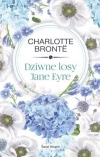 Dziwne losy Jane Eyre - zdjęcie