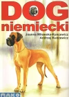 Dog niemiecki - zdjęcie