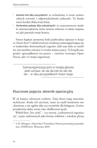 Firma bez szefa, zdjęcie 10
