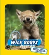 Wilk Borys. świat dzikich maluchów - zdjęcie